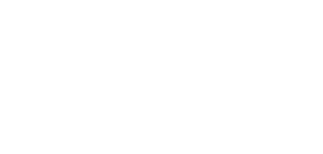 PARLIAMENTARY DIMENSION